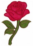 Long stem rose